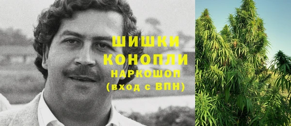 ГАЛЛЮЦИНОГЕННЫЕ ГРИБЫ Абинск