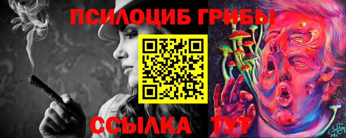 как найти наркотики  Вход с VPN  Тихорецк  Галлюциногенные грибы Psilocybine cubensis 